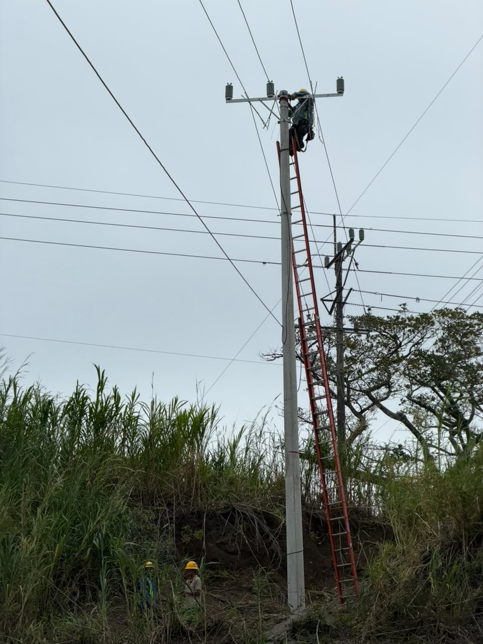 Tajo espinal — fotografía 3